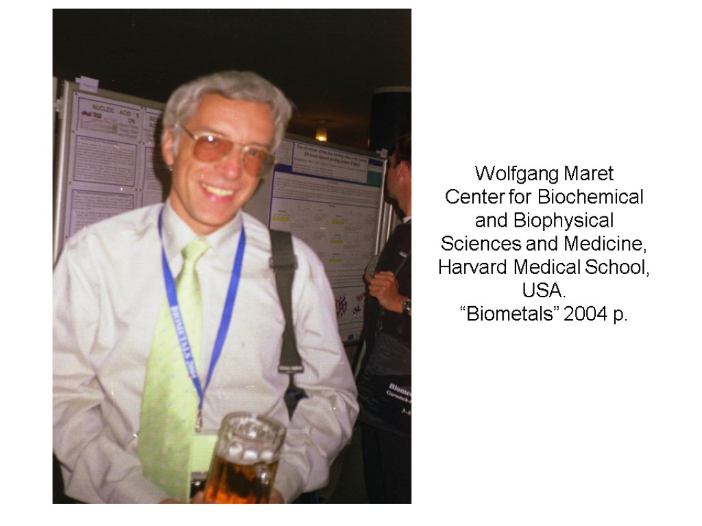 Wolfgang Maret Center for Biochemical and Biophysical Sciences and Medicine, Harvard Medical School, USA.